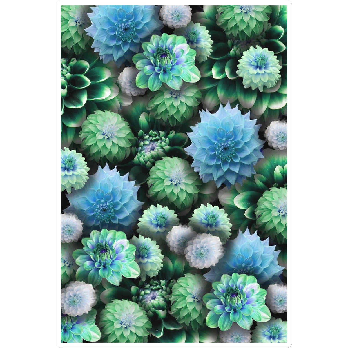 Blue Green Dahlias Sticker