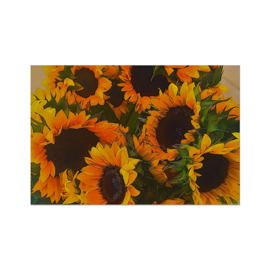 Sunflowers Hahnemühle Photo Rag Print