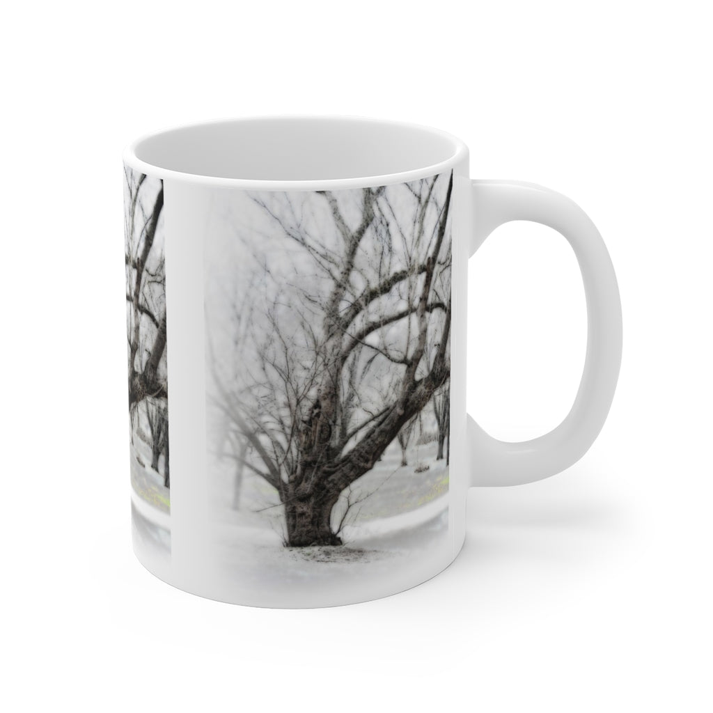 Old Tree On White Ceramic Mugs (11oz\15oz\20oz)