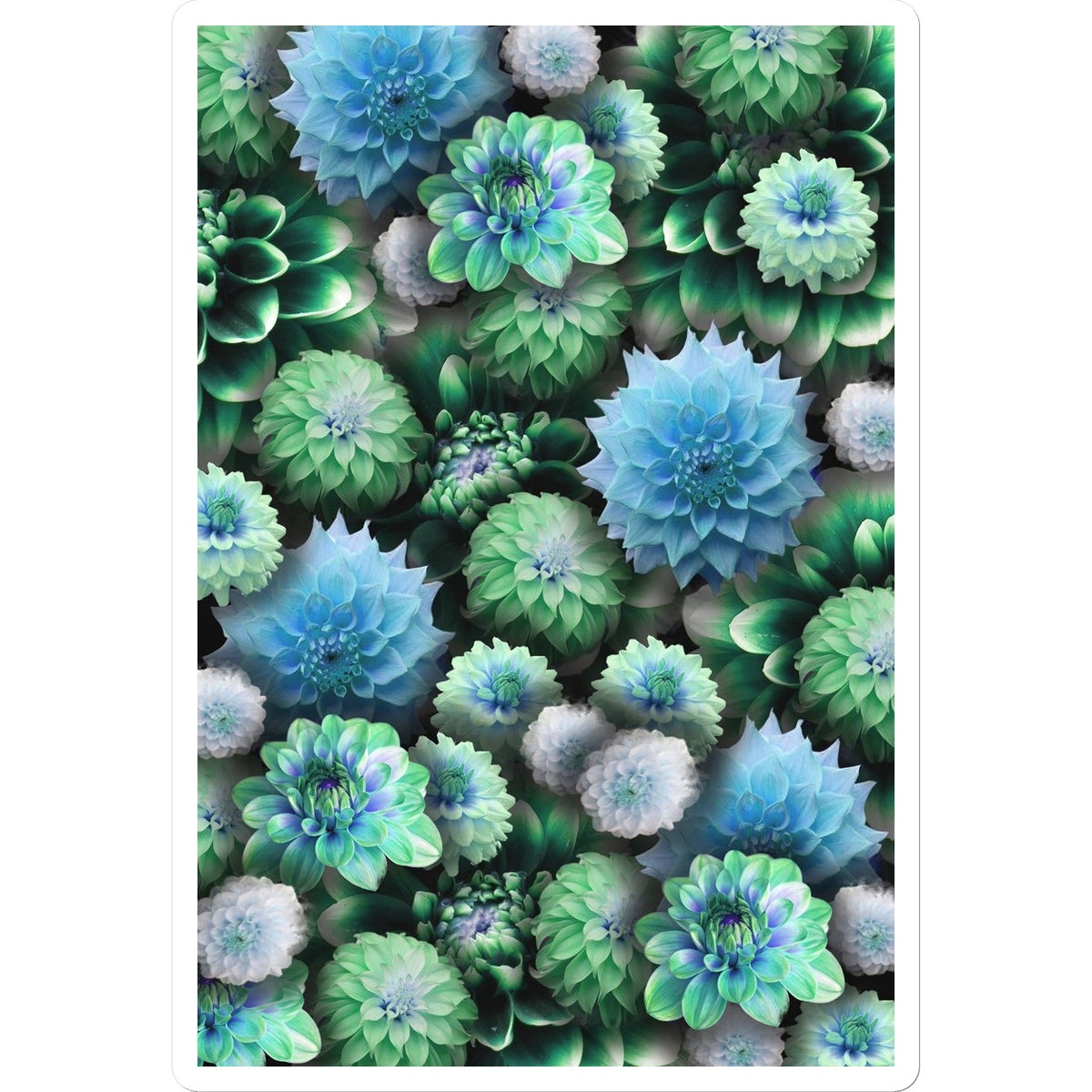 Blue Green Dahlias Sticker