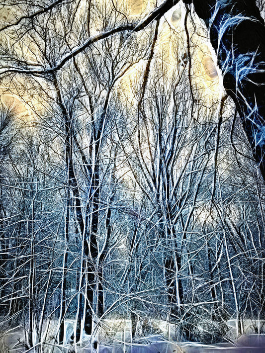 4 Oclock Winter Landscape Digital Image Download