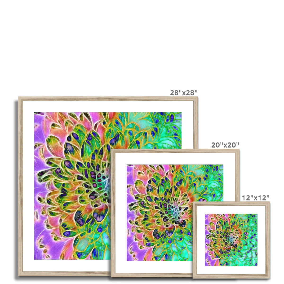 Abstract Peacock Chrysanthemum Framed & Mounted Print