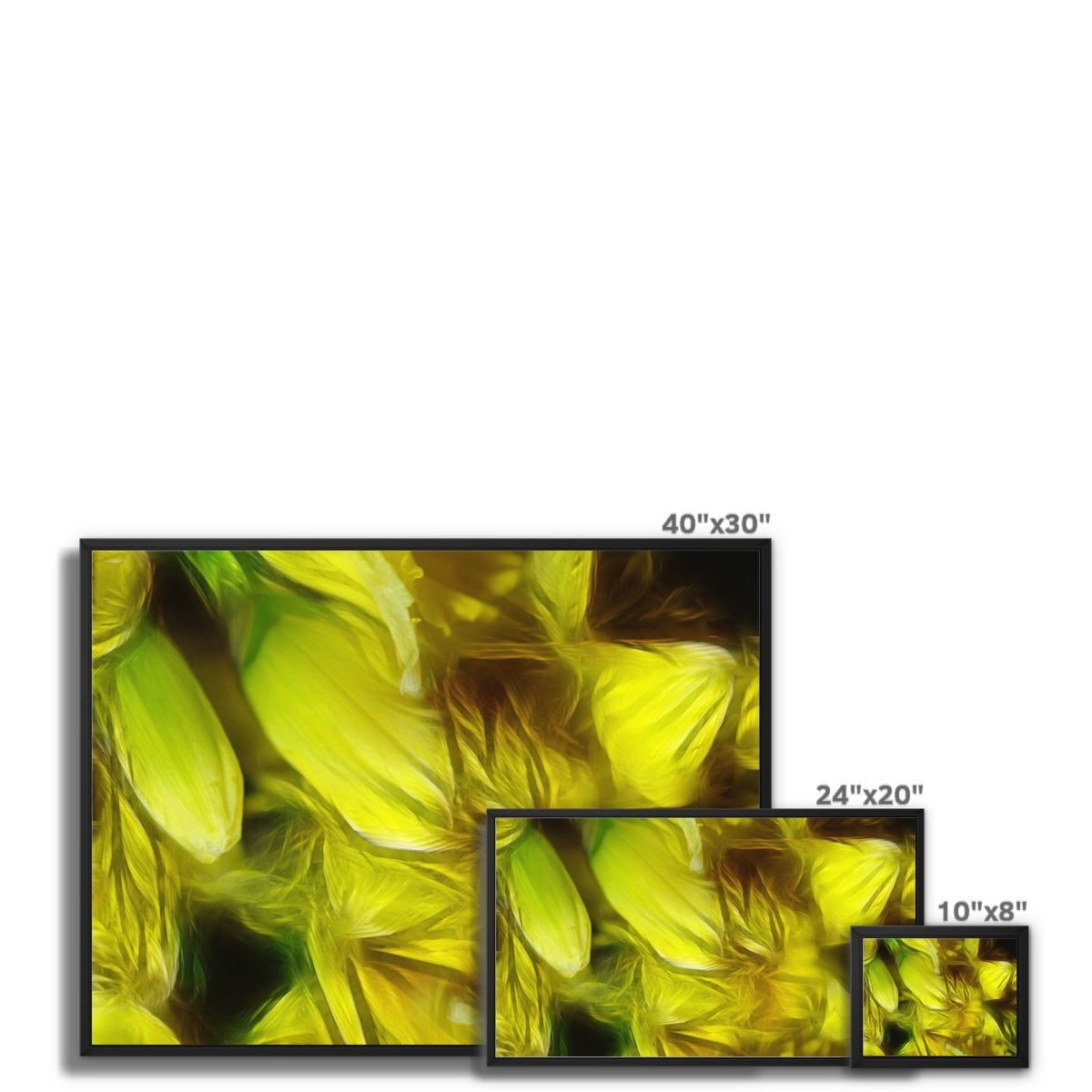 Abstract Yellow Daffodils Framed Canvas