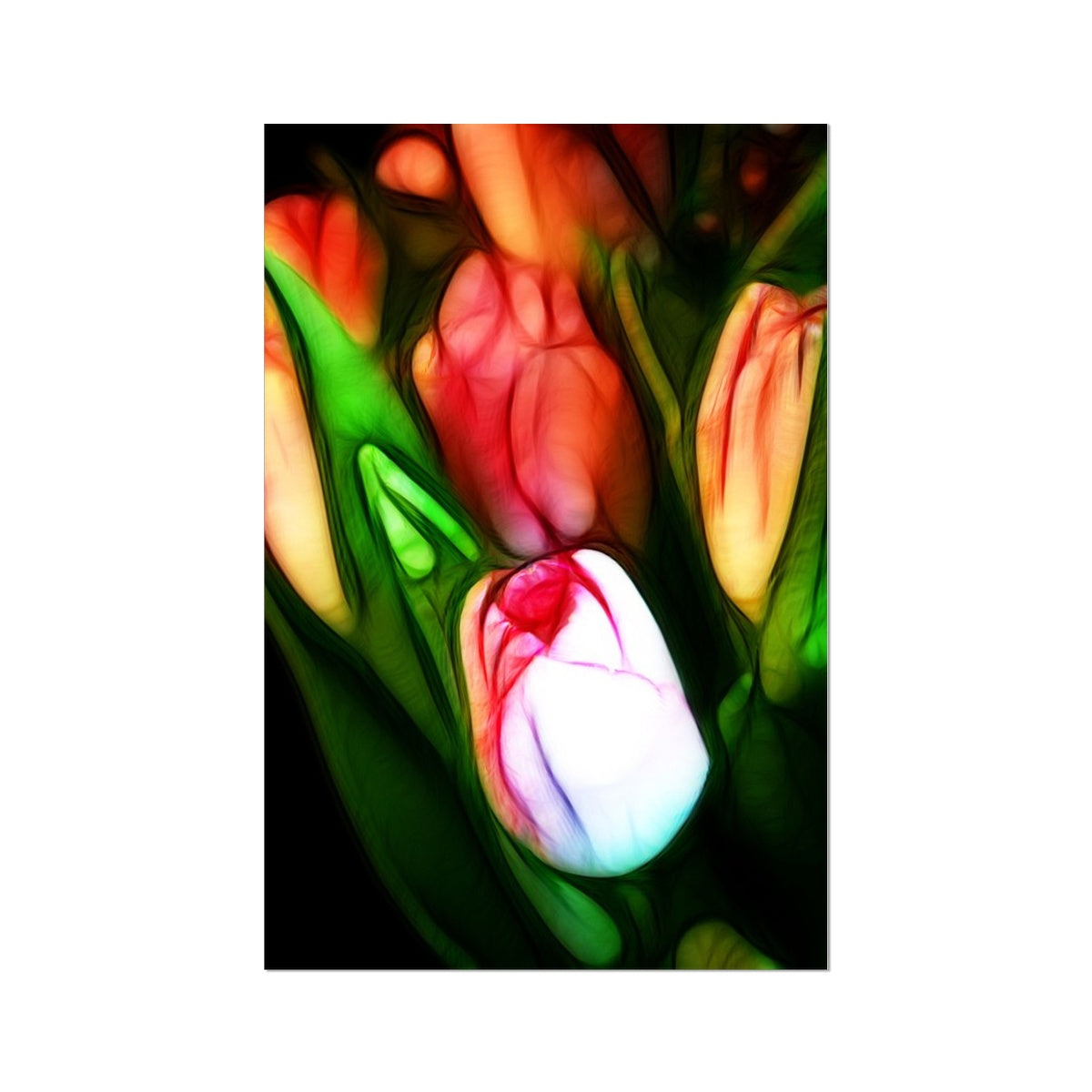 Pink Tulips Hahnemühle Photo Rag Print