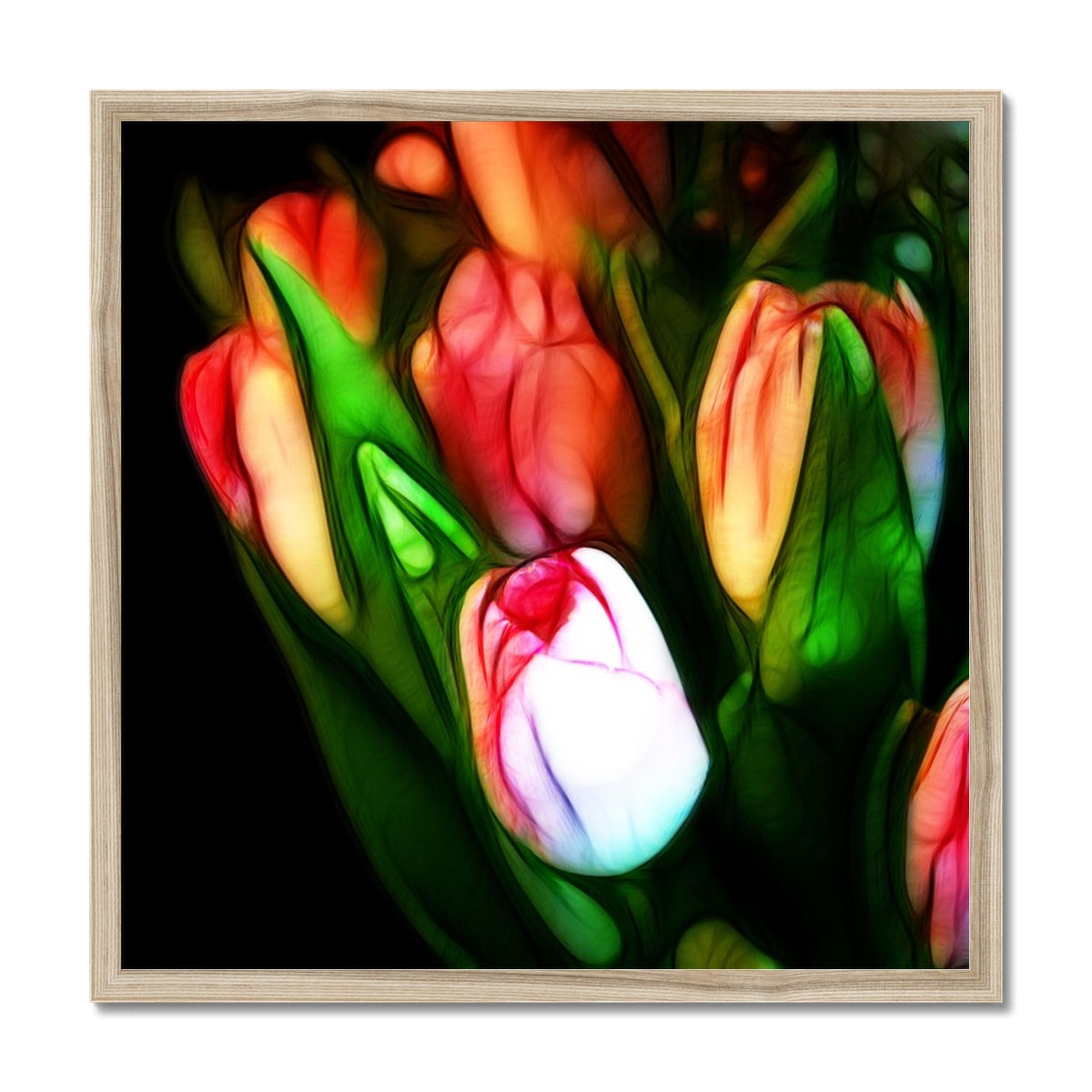 Pink Tulips Framed Print