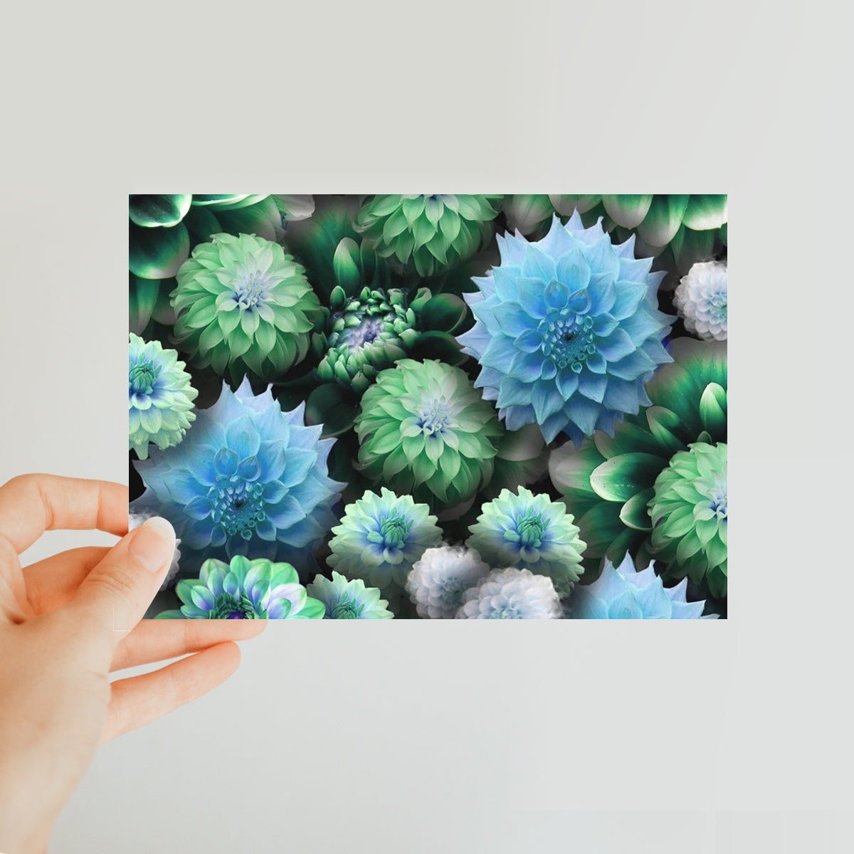 Blue Green Dahlias Classic Postcard