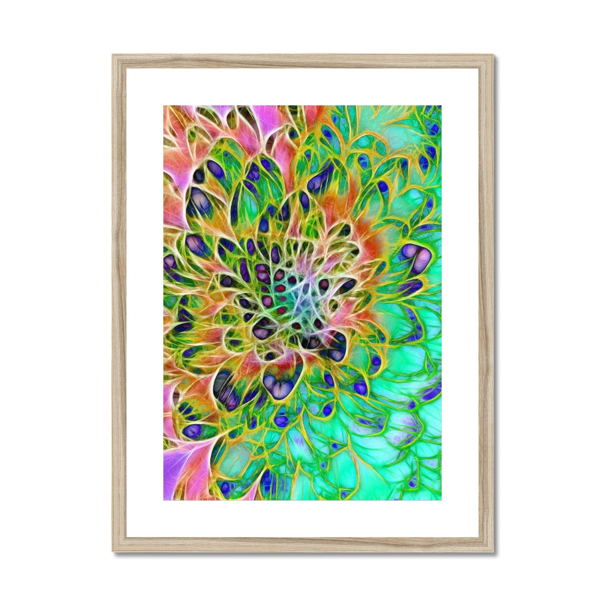 Abstract Peacock Chrysanthemum Framed & Mounted Print