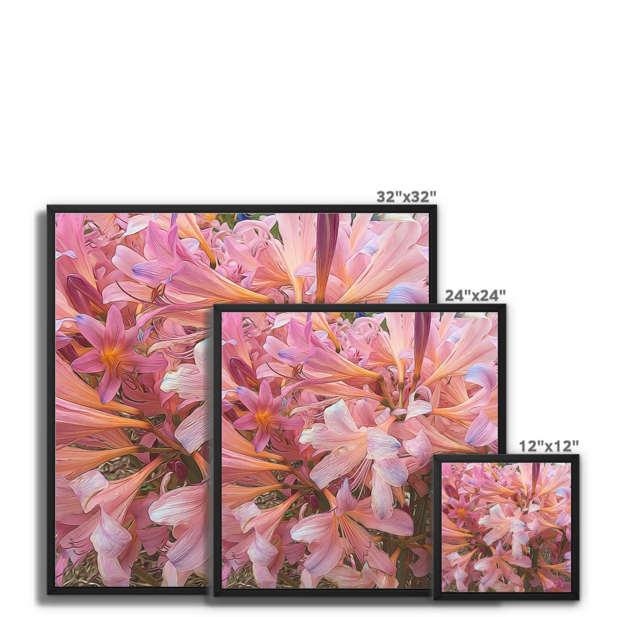 Pink Amaryllis Framed Canvas