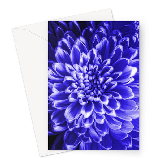 Blue Chrysanthemum Greeting Card