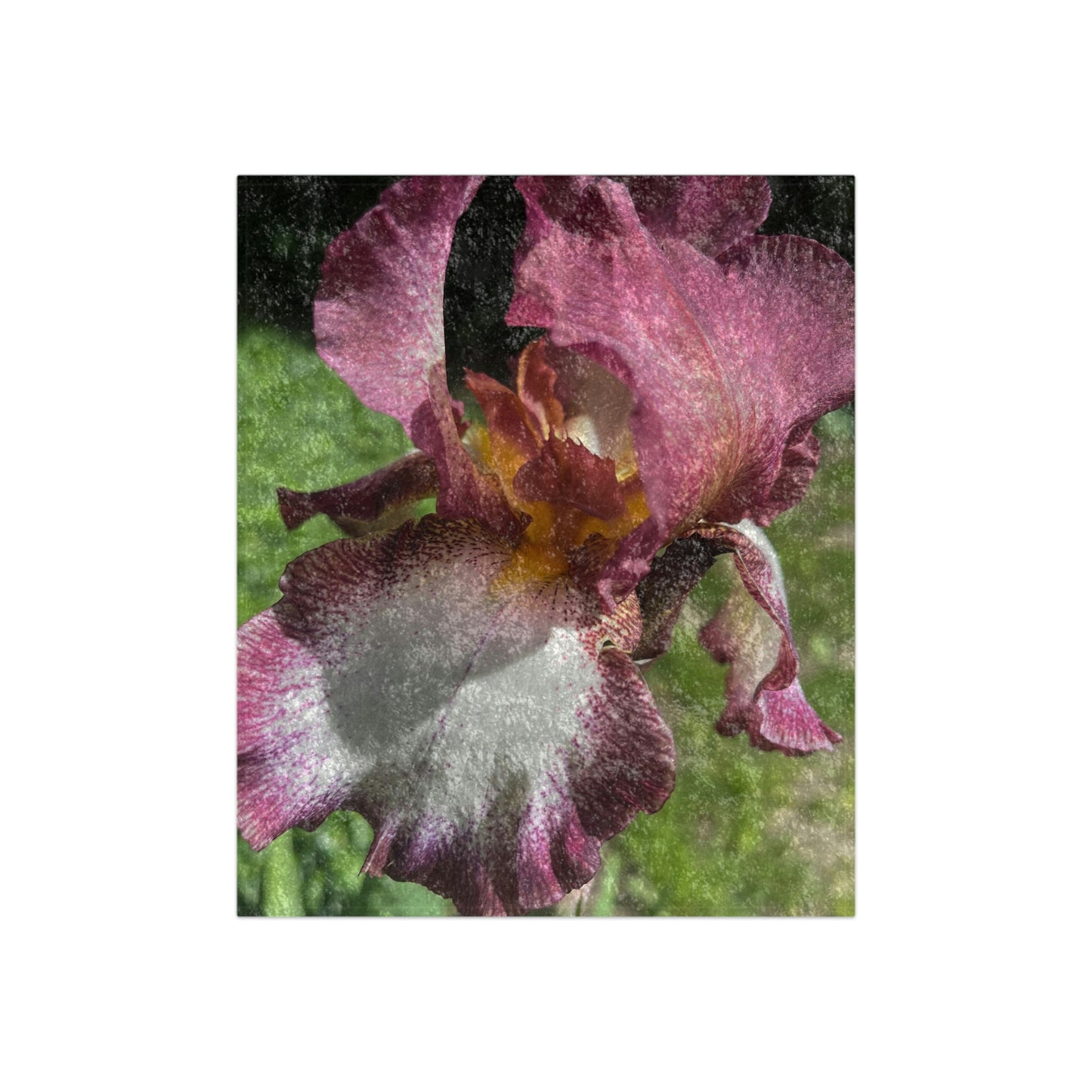 Burgundy Iris Crushed Velvet Blanket