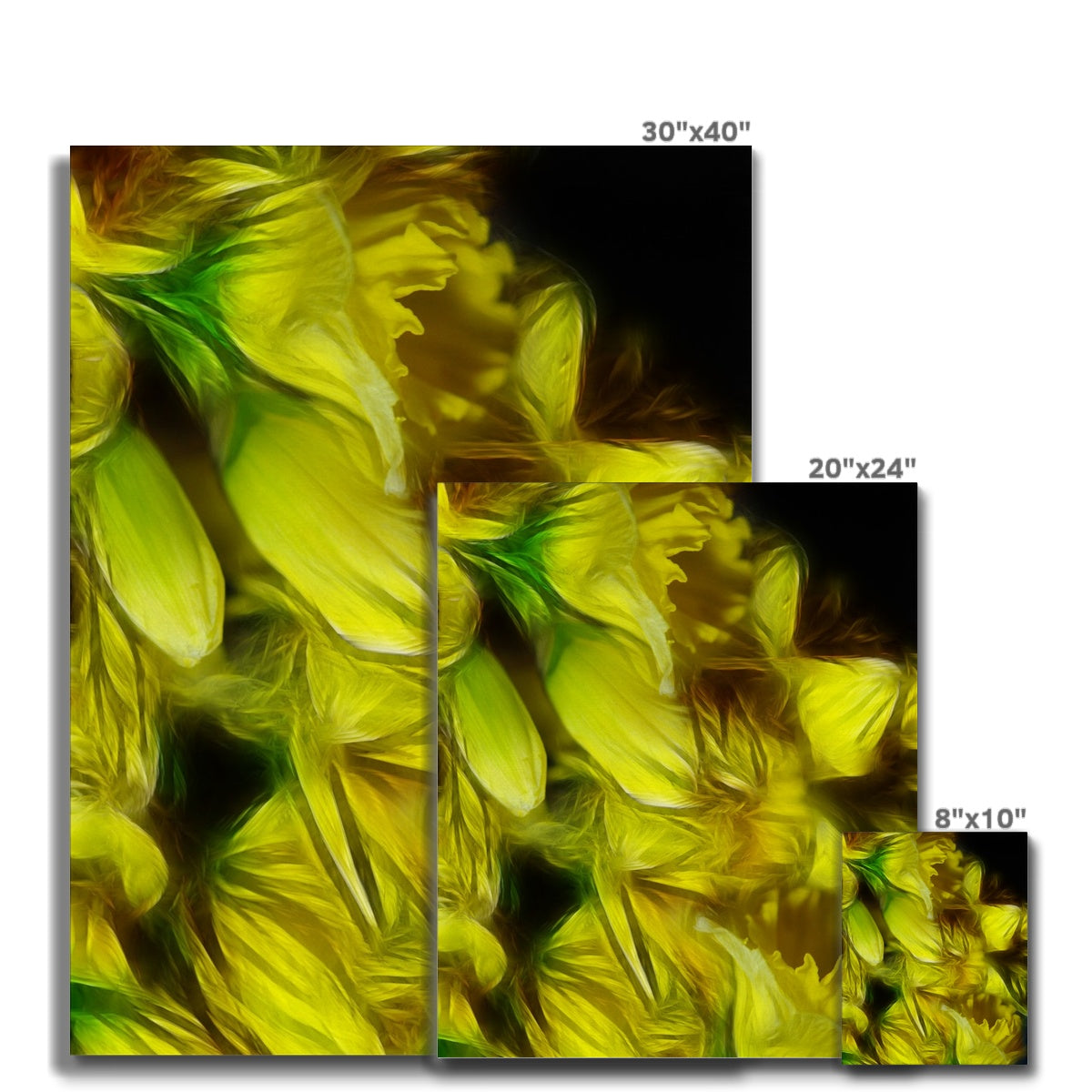 Abstract Yellow Daffodils Canvas
