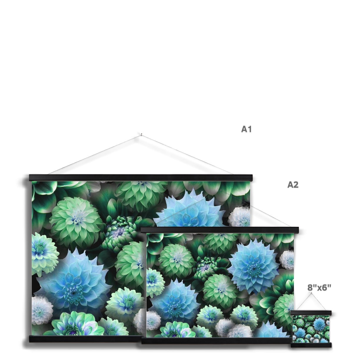 Blue Green Dahlias Fine Art Print with Hanger