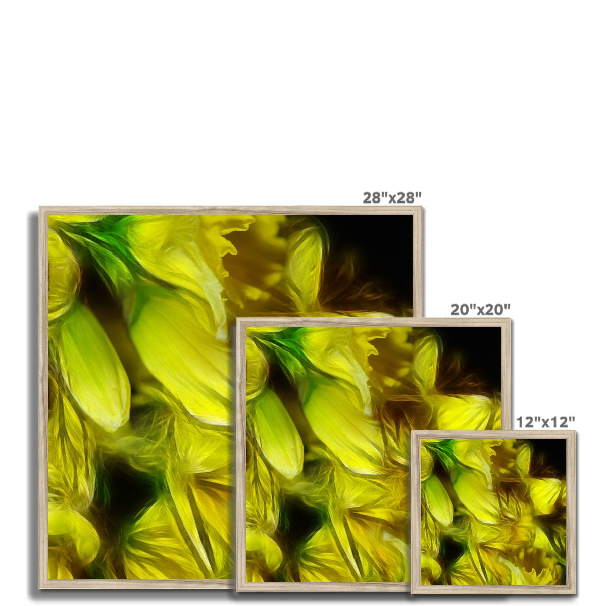Abstract Yellow Daffodils Framed Print