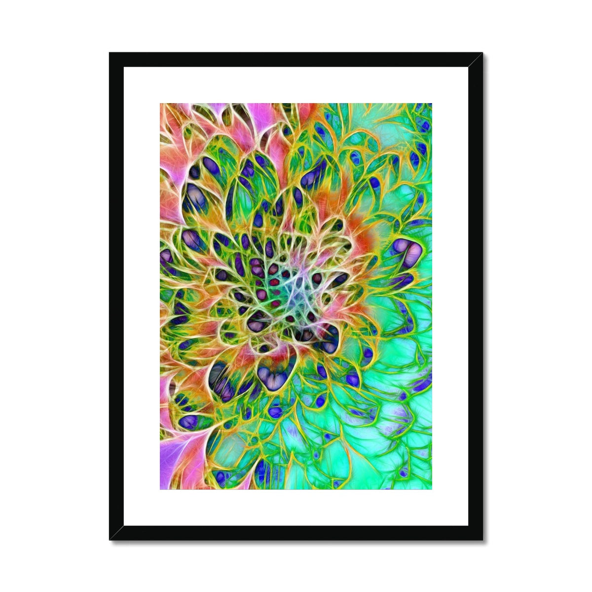 Abstract Peacock Chrysanthemum Framed & Mounted Print