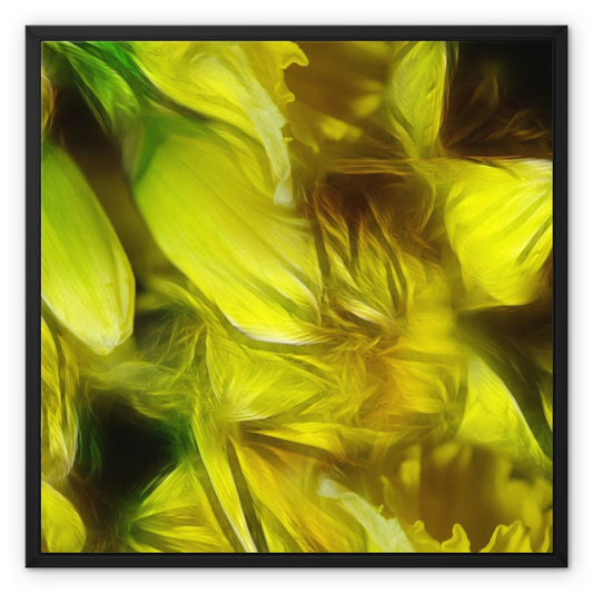 Abstract Yellow Daffodils Framed Canvas