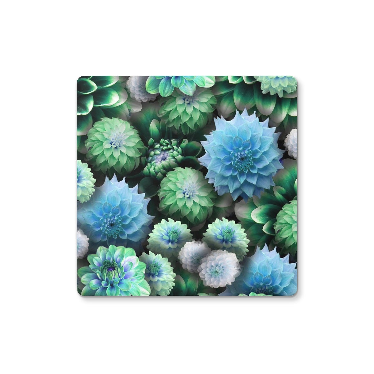 Blue Green Dahlias Coaster