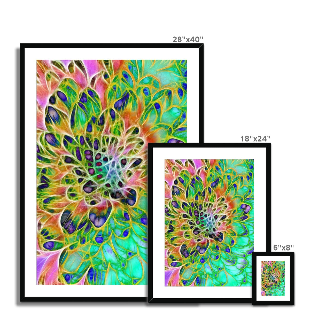 Abstract Peacock Chrysanthemum Framed & Mounted Print