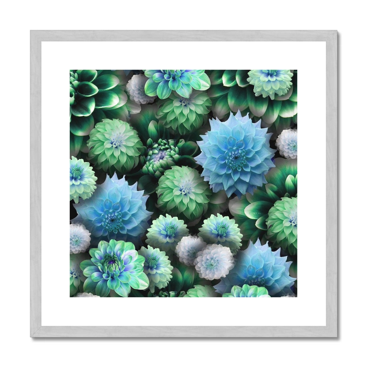 Blue Green Dahlias Antique Framed & Mounted Print