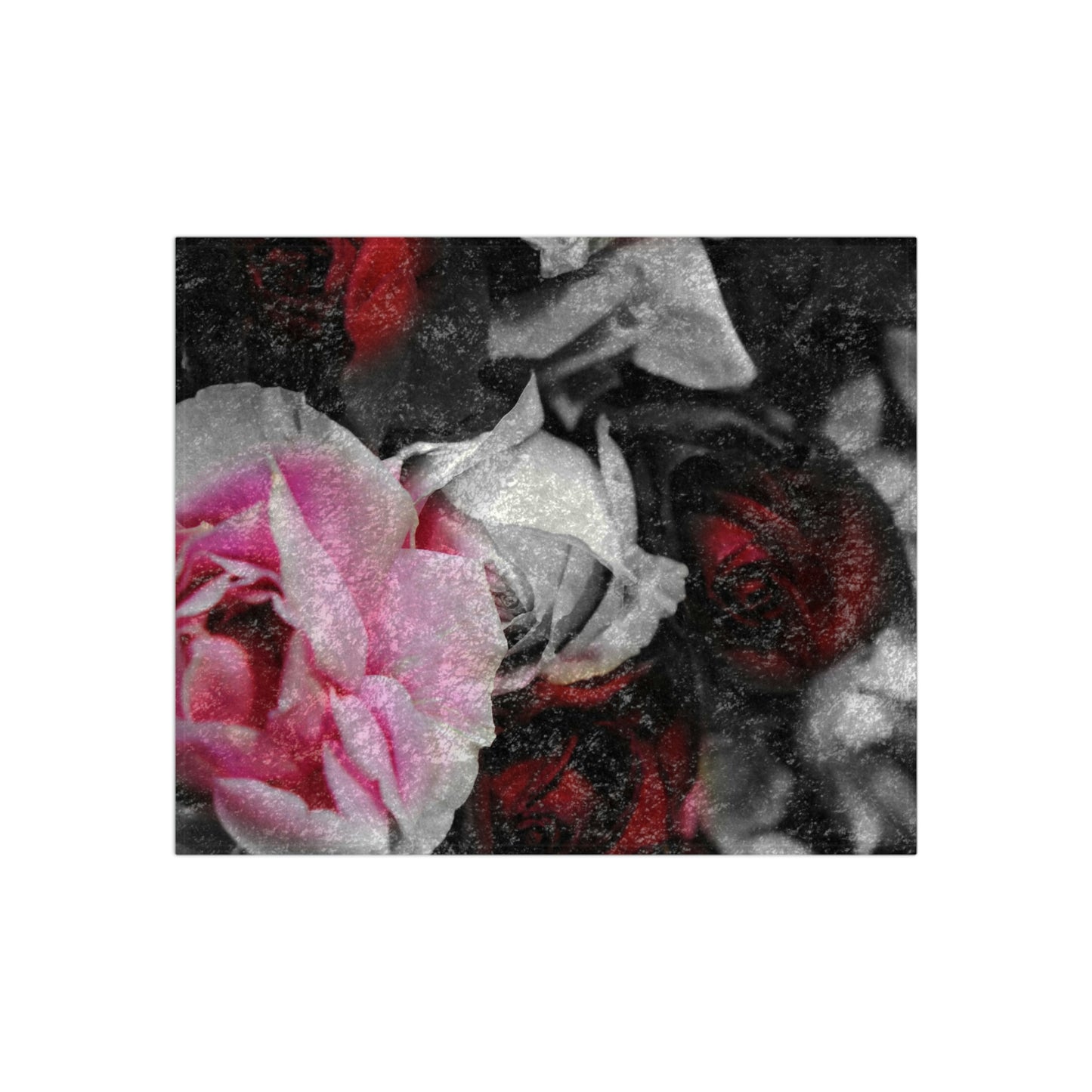 Black and White Roses Fade Crushed Velvet Blanket