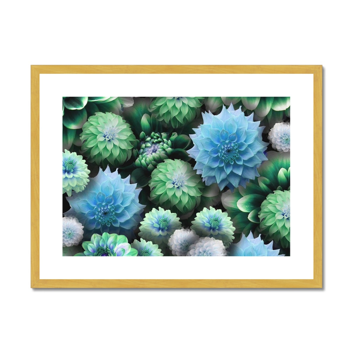 Blue Green Dahlias Antique Framed & Mounted Print