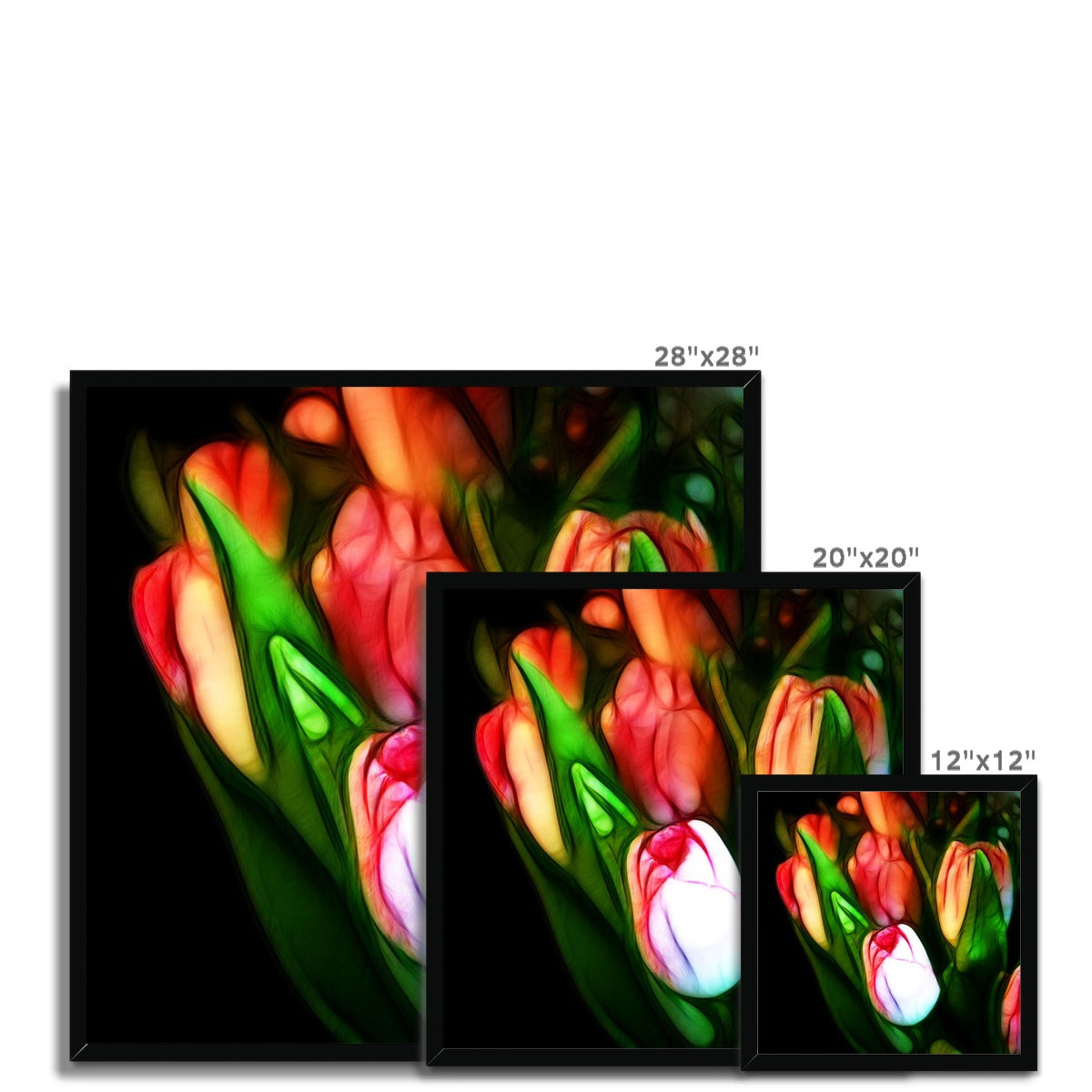 Pink Tulips Framed Print