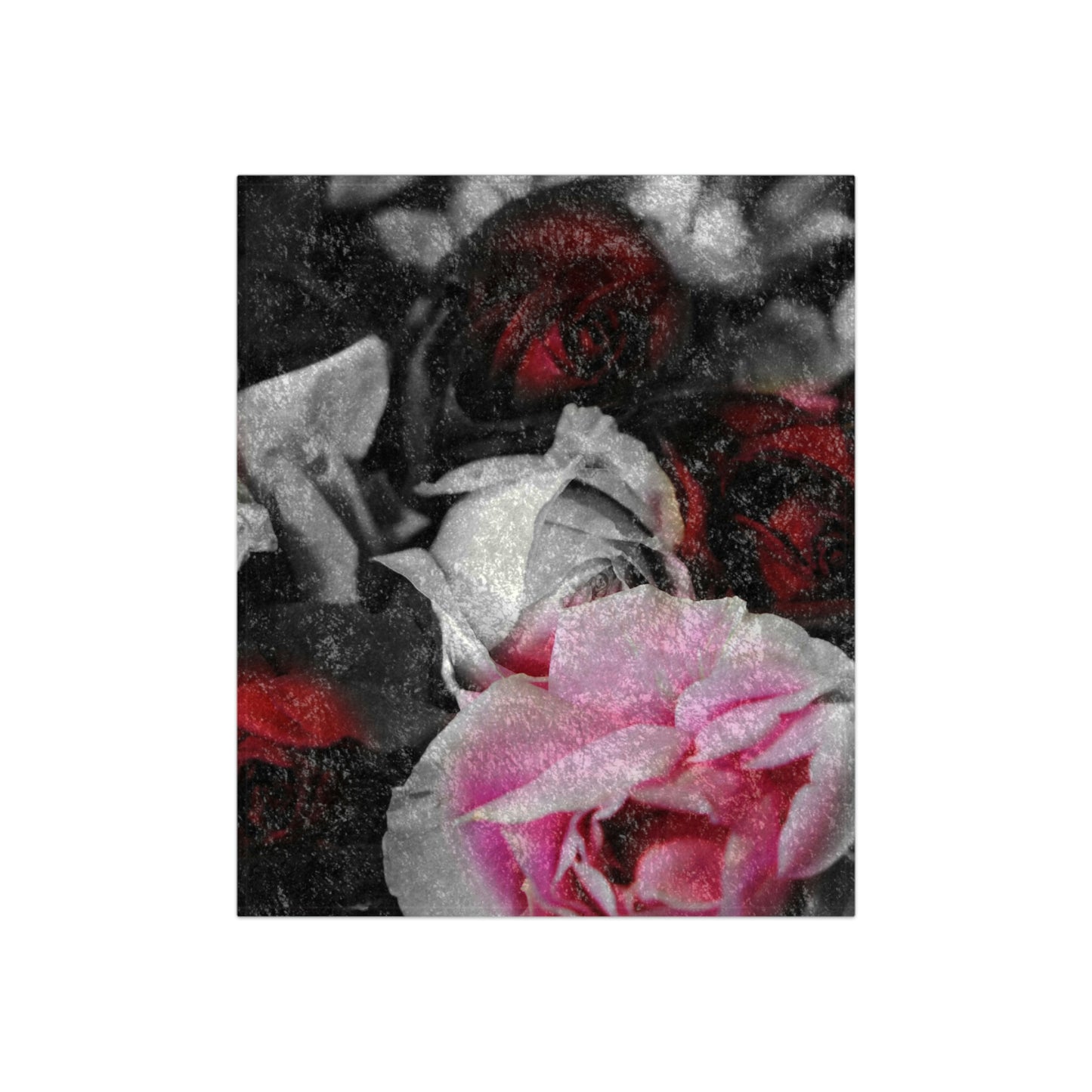 Black and White Roses Fade Crushed Velvet Blanket