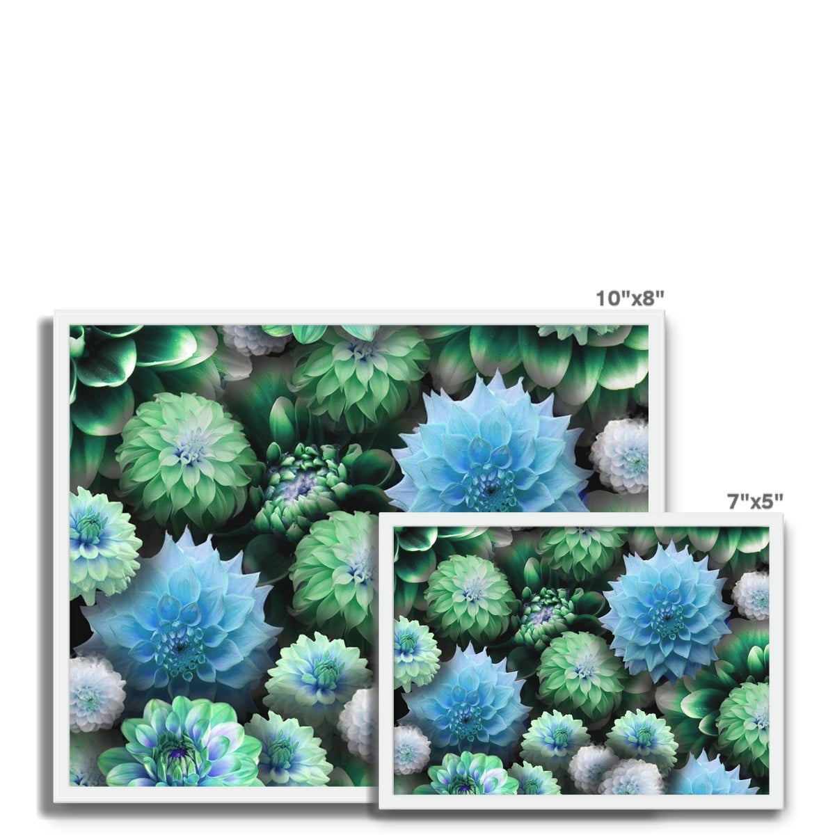 Blue Green Dahlias Framed Photo Tile