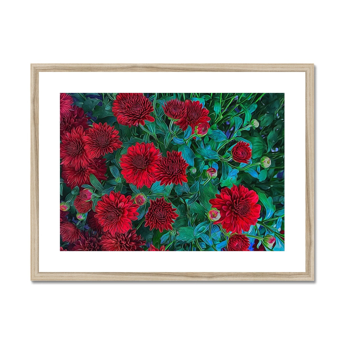 Red Mums Framed & Mounted Print