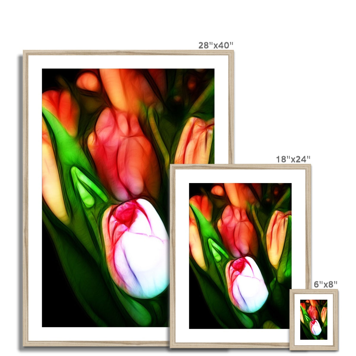 Pink Tulips Framed & Mounted Print