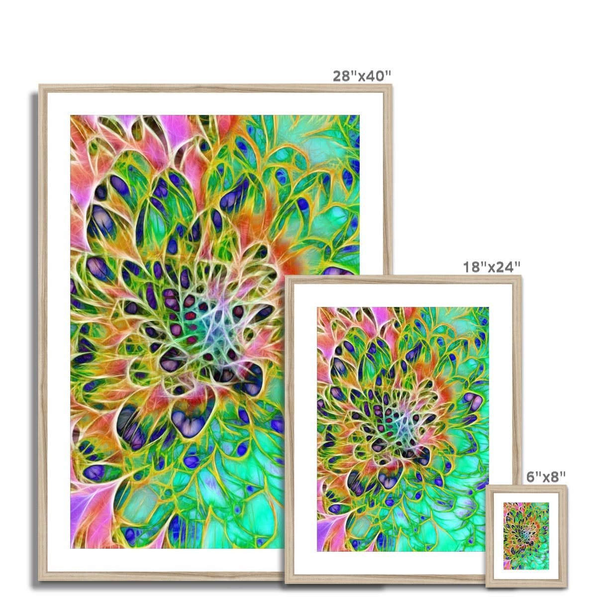 Abstract Peacock Chrysanthemum Framed & Mounted Print