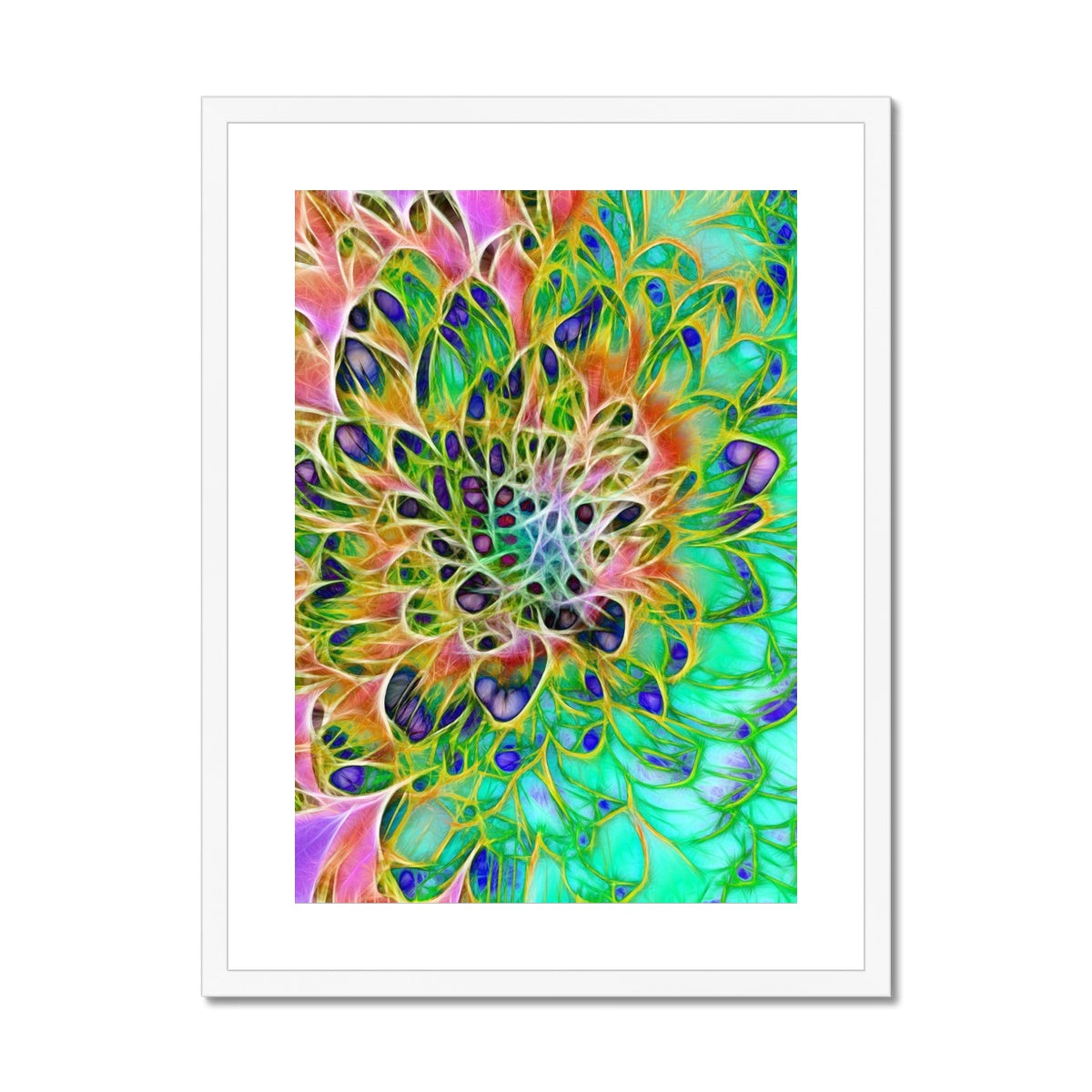 Abstract Peacock Chrysanthemum Framed & Mounted Print