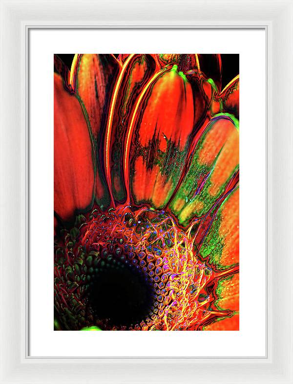 Abstract Orange Daisy - Framed Print