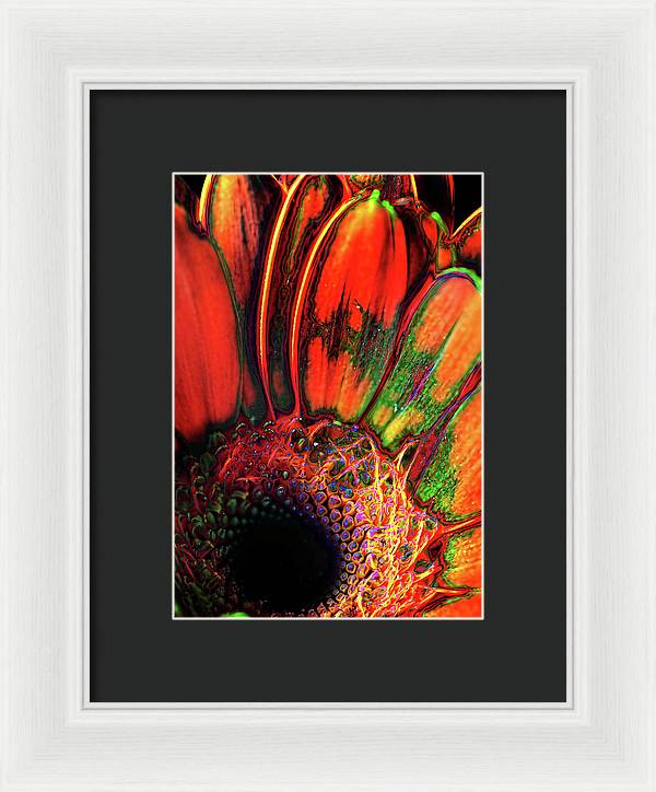 Abstract Orange Daisy - Framed Print