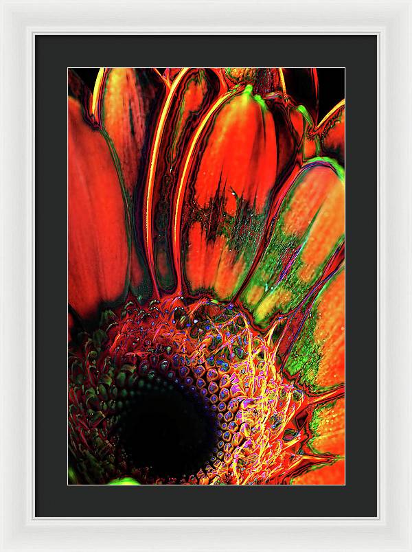 Abstract Orange Daisy - Framed Print