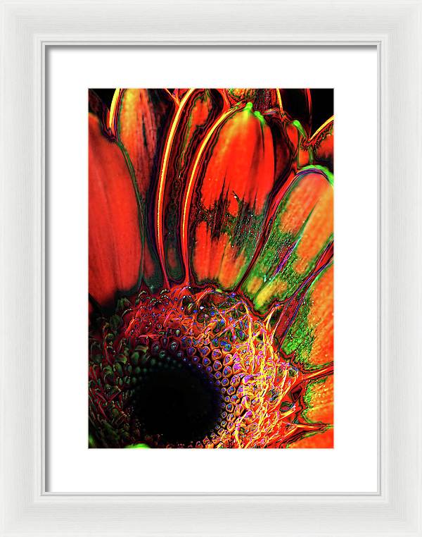 Abstract Orange Daisy - Framed Print