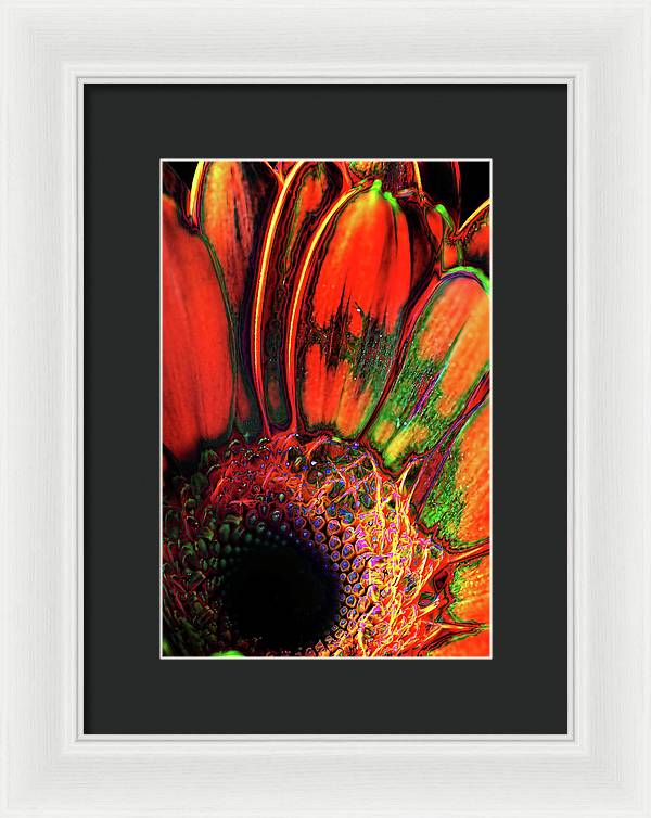 Abstract Orange Daisy - Framed Print