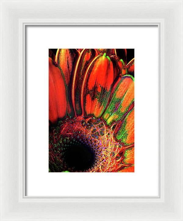 Abstract Orange Daisy - Framed Print