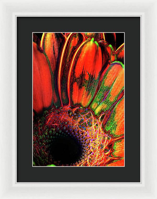 Abstract Orange Daisy - Framed Print