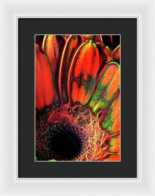 Abstract Orange Daisy - Framed Print