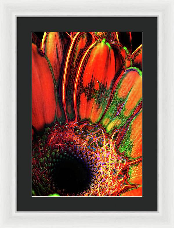 Abstract Orange Daisy - Framed Print