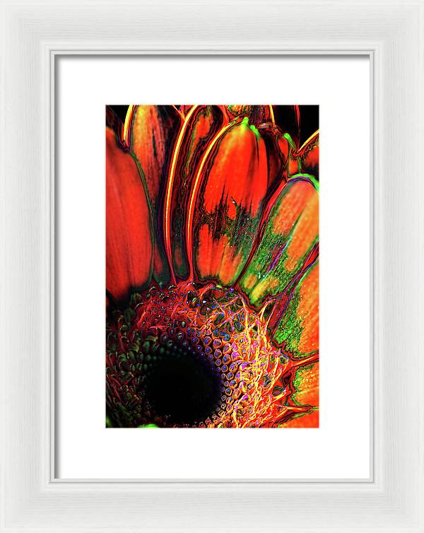 Abstract Orange Daisy - Framed Print