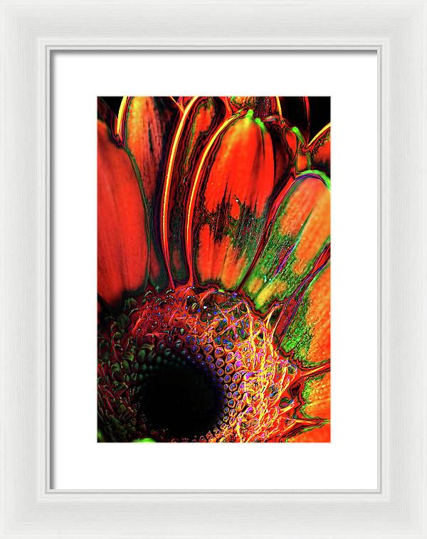 Abstract Orange Daisy - Framed Print