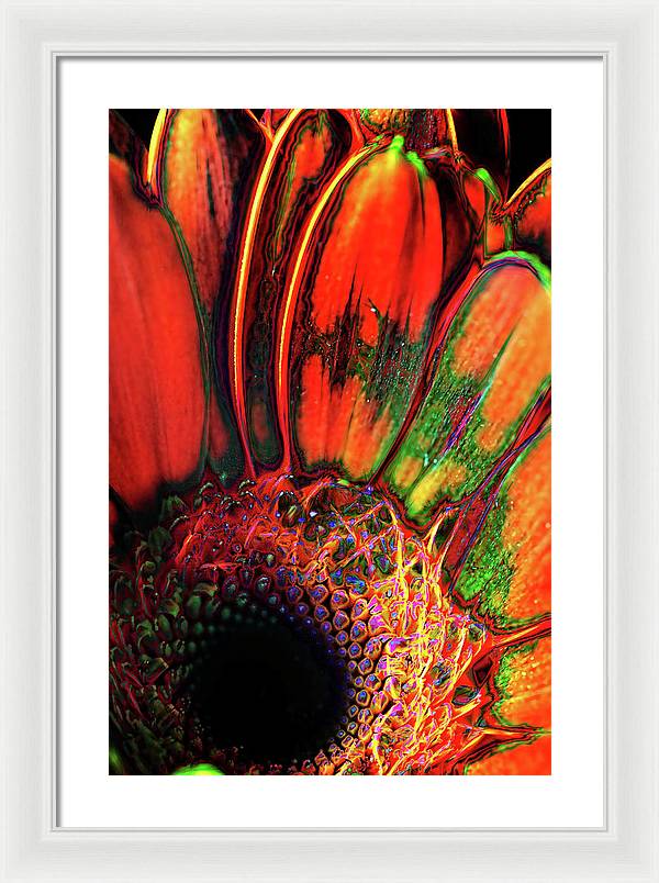 Abstract Orange Daisy - Framed Print