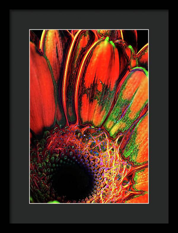 Abstract Orange Daisy - Framed Print