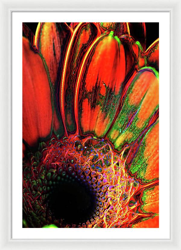 Abstract Orange Daisy - Framed Print