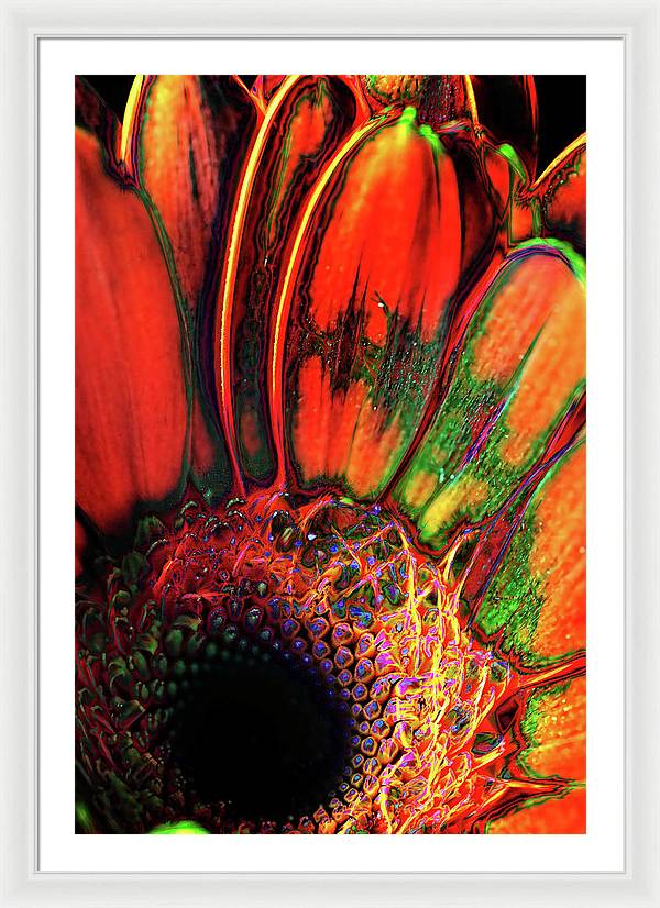 Abstract Orange Daisy - Framed Print