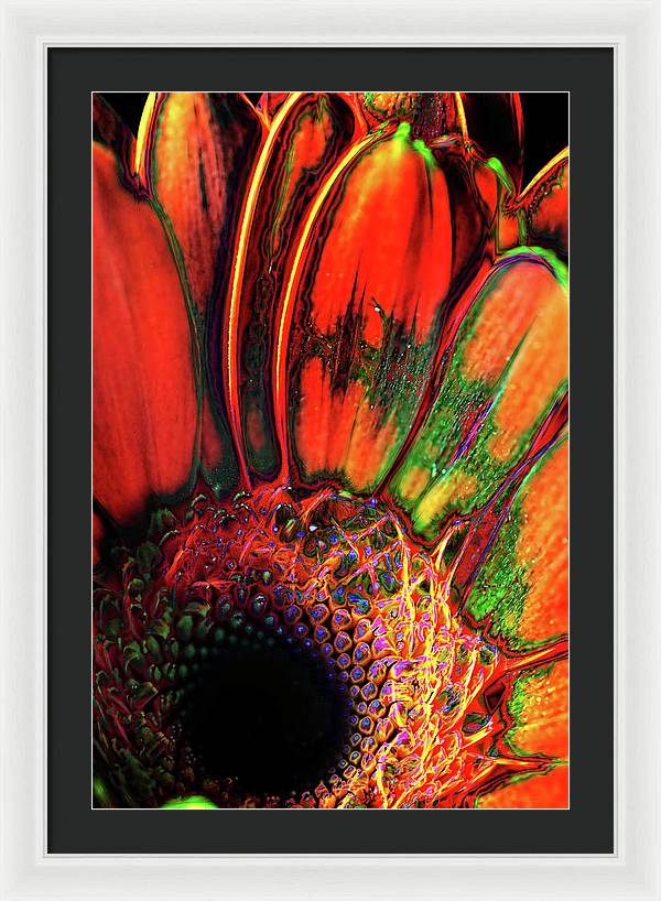 Abstract Orange Daisy - Framed Print