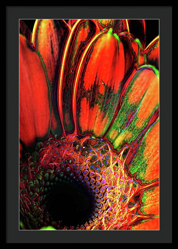 Abstract Orange Daisy - Framed Print