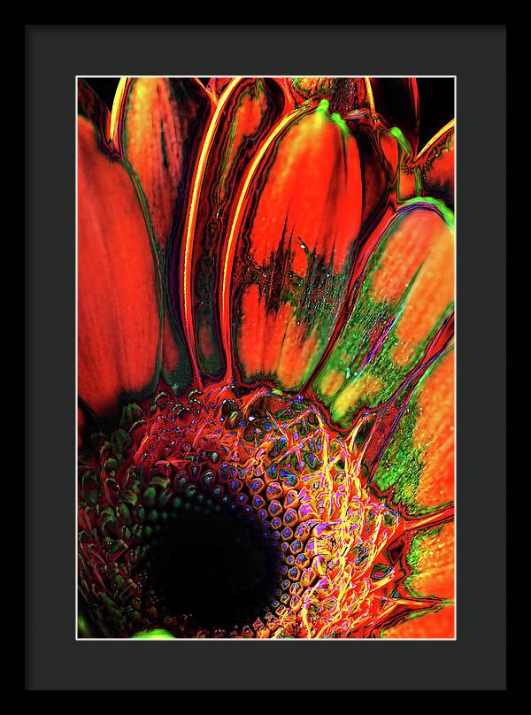 Abstract Orange Daisy - Framed Print