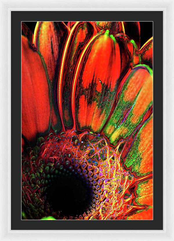 Abstract Orange Daisy - Framed Print